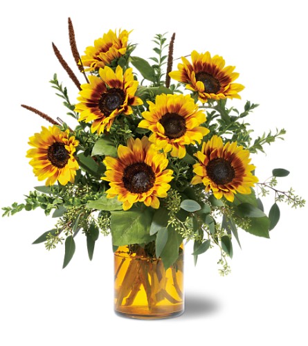 Girasoles al amanecer