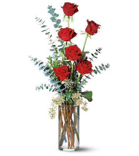 Una Expresión De Amor - 6 Rosas Rojas