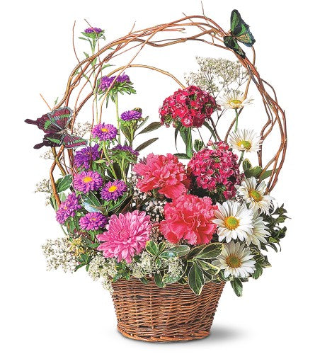 Mariposas De Cumpleaños