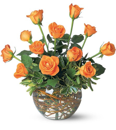 Docena de rosas naranjas
