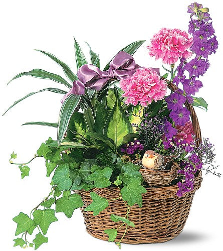 Jardín de cestas con flores frescas