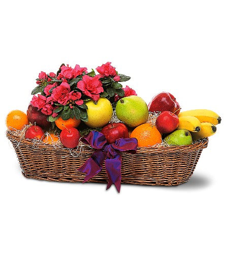 Cesta de plantas y frutas