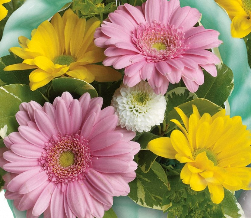 Mezcla de primavera de colores de Pascua: creada por nuestro diseñador
