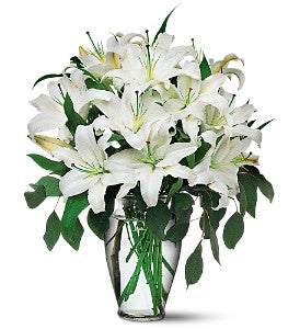 Perfect White Lilies