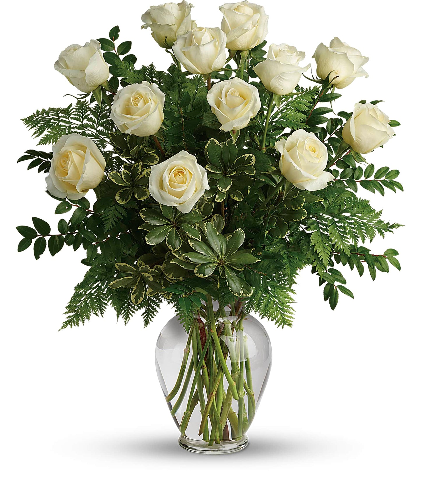 Dozen Long Stem White Roses