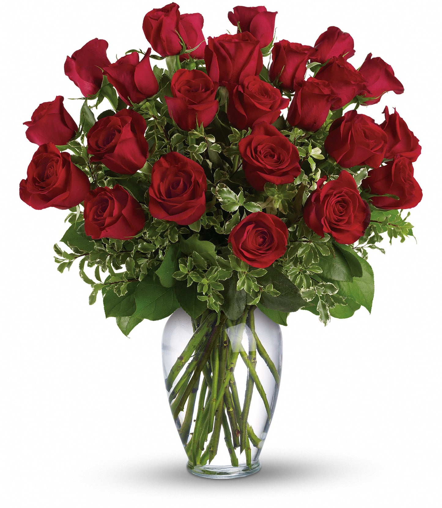 Dos docenas de rosas rojas de tallo largo