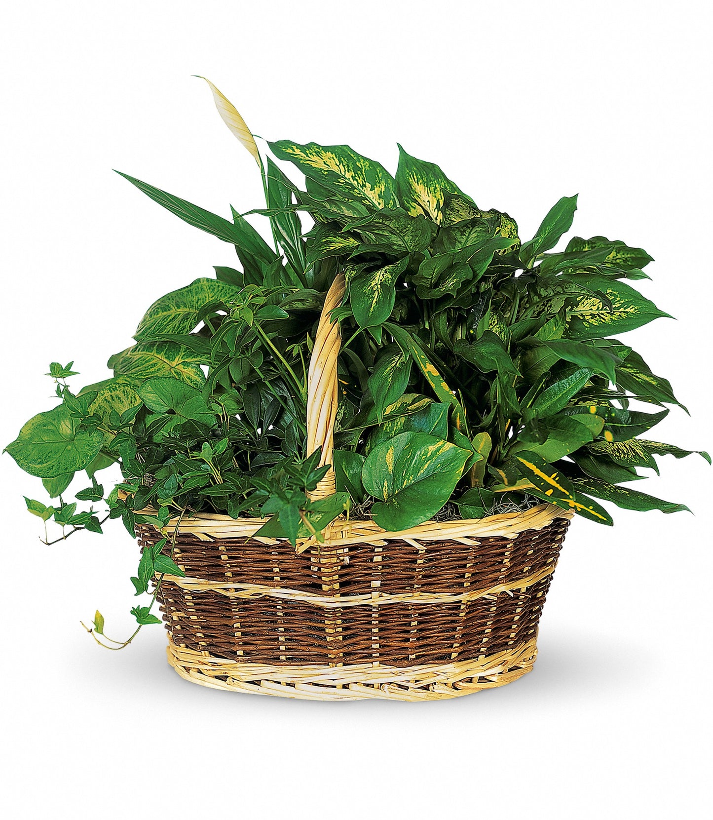 Cesta de jardín grande
