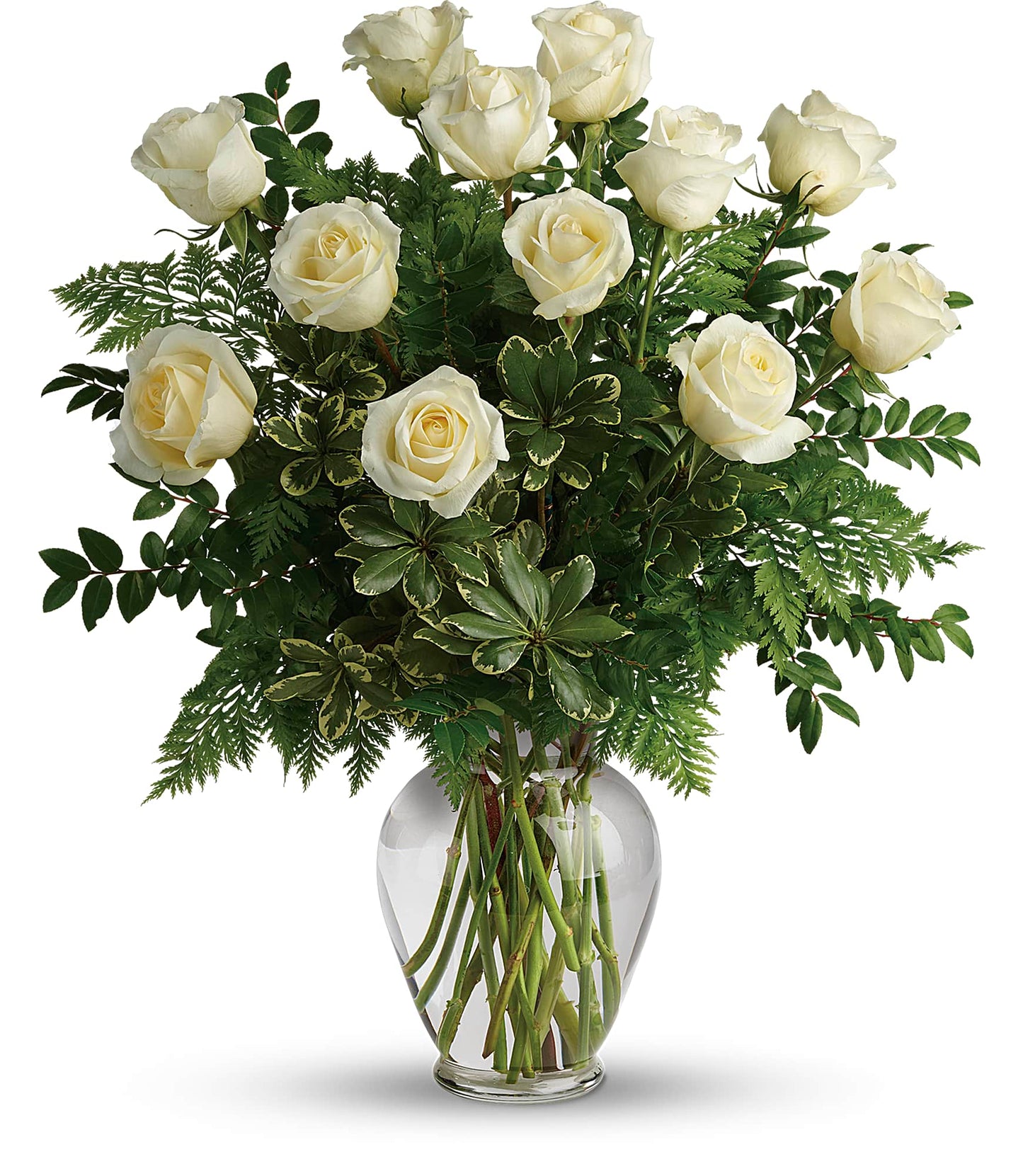 Rosas blancas de tallo largo