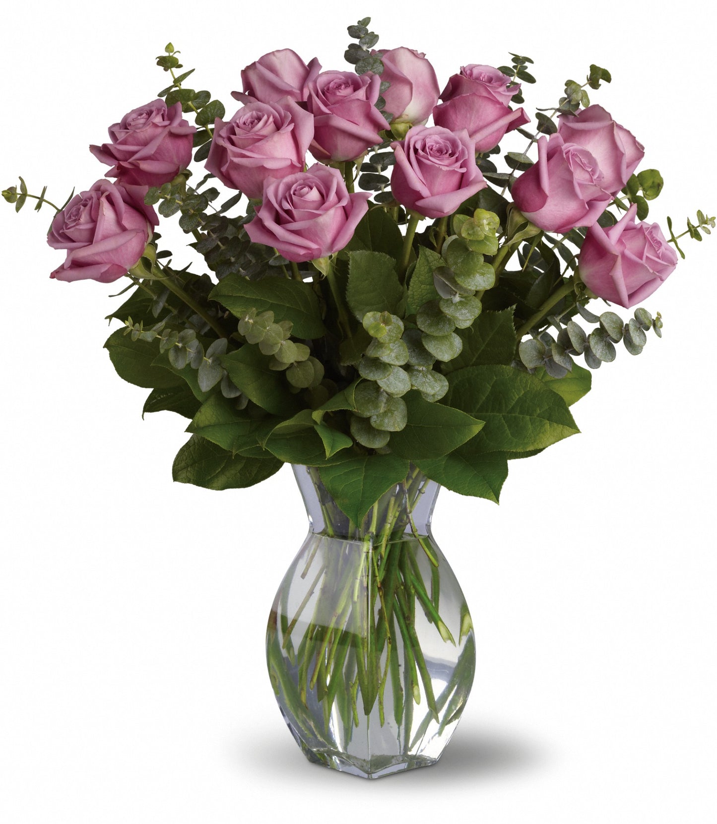 Rosas Lavanda Premium