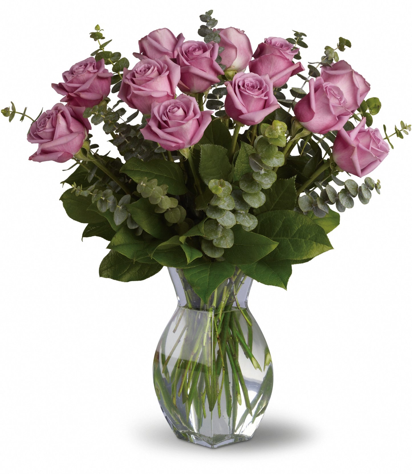 Premium Lavender Roses