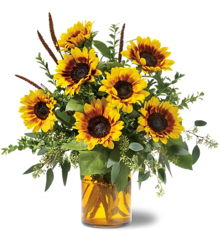 Sunrise Sunflowers