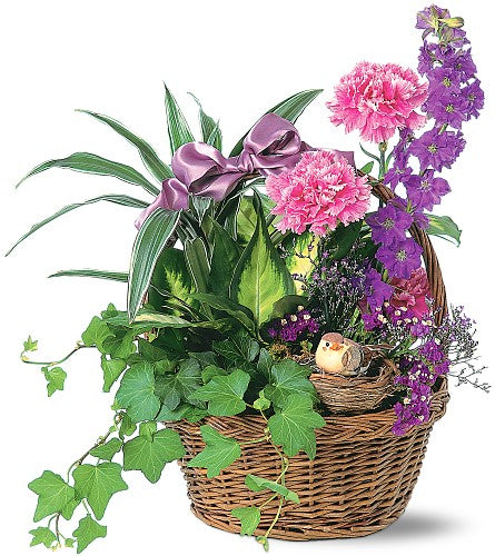 Basket Garden with Fresh Flowers