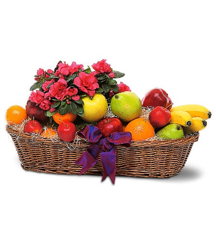 Plant And Fruit Basket