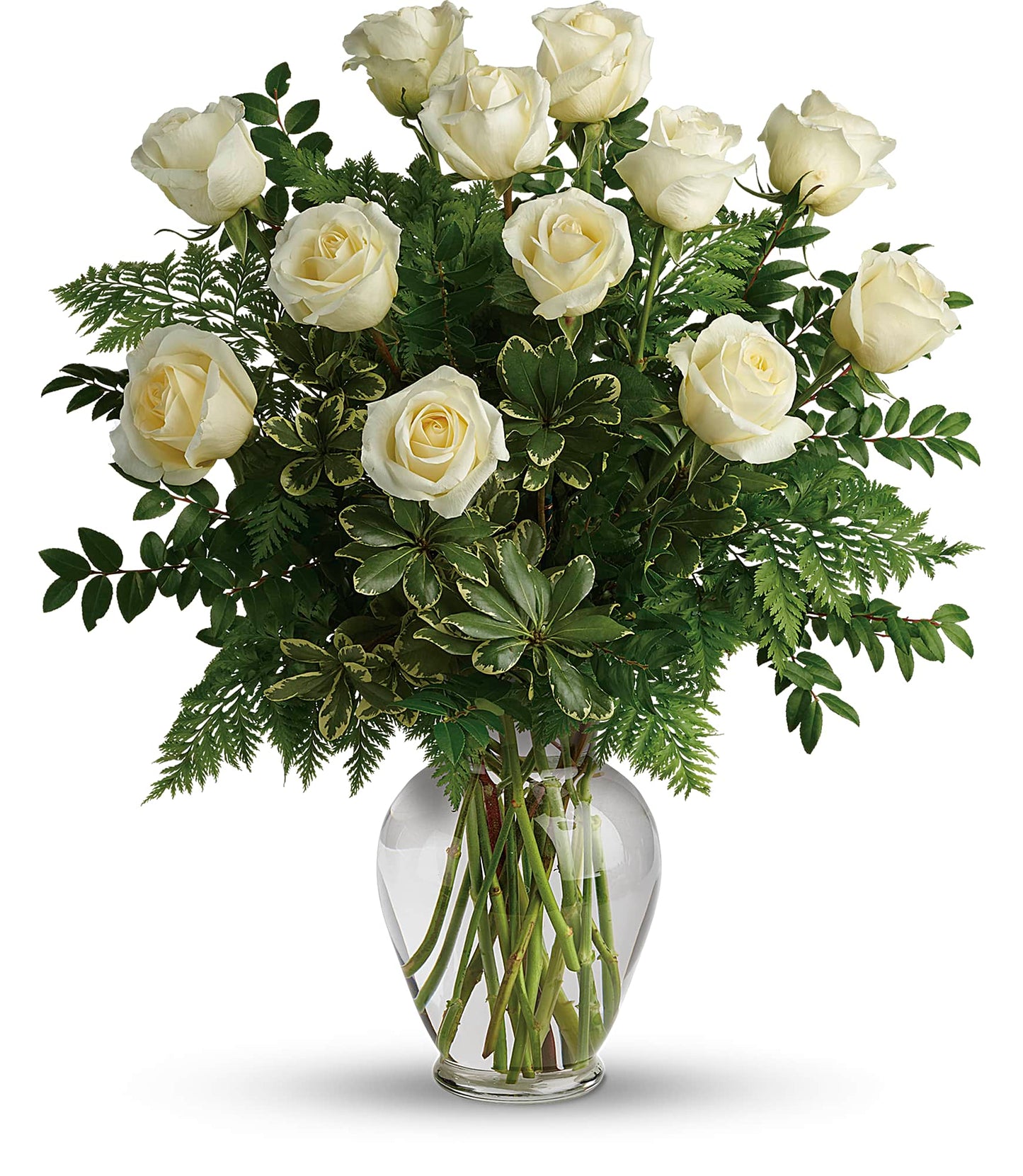 Long Stem White Mother's Day Roses